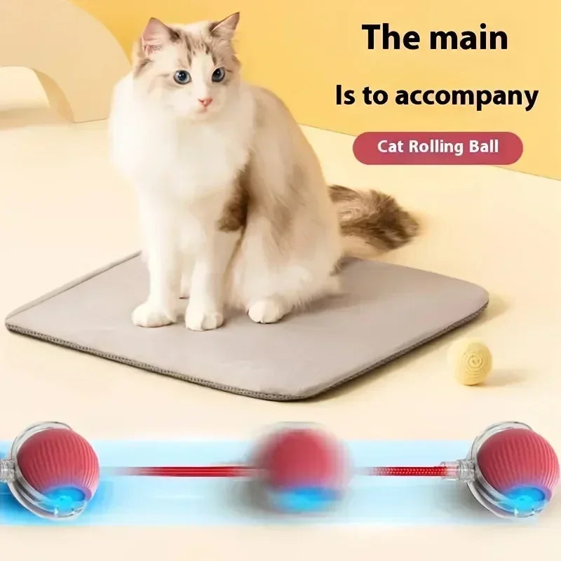 Gioco interattivo automatico