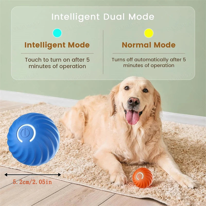 Gioco elettronico interattivo per animali domestici