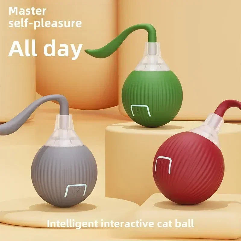 Gioco interattivo automatico