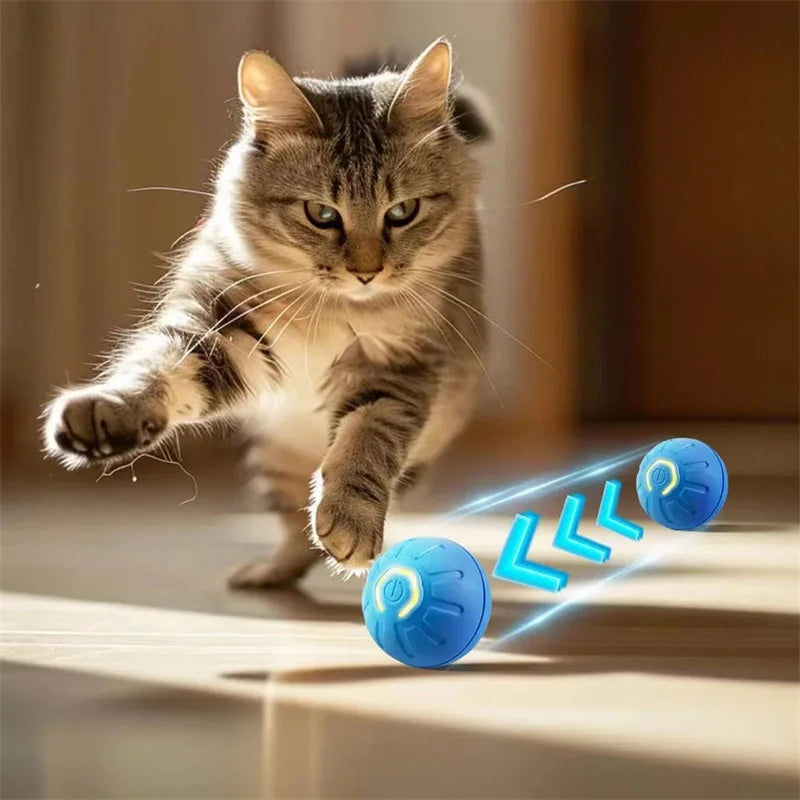 Gioco elettronico interattivo per animali domestici