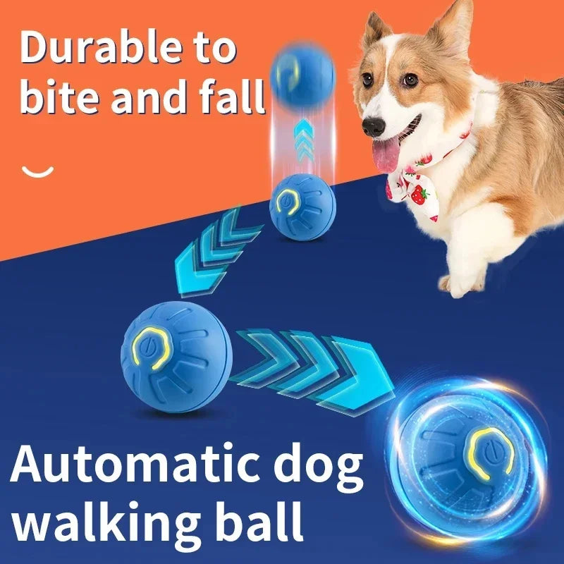 Gioco elettronico interattivo per animali domestici