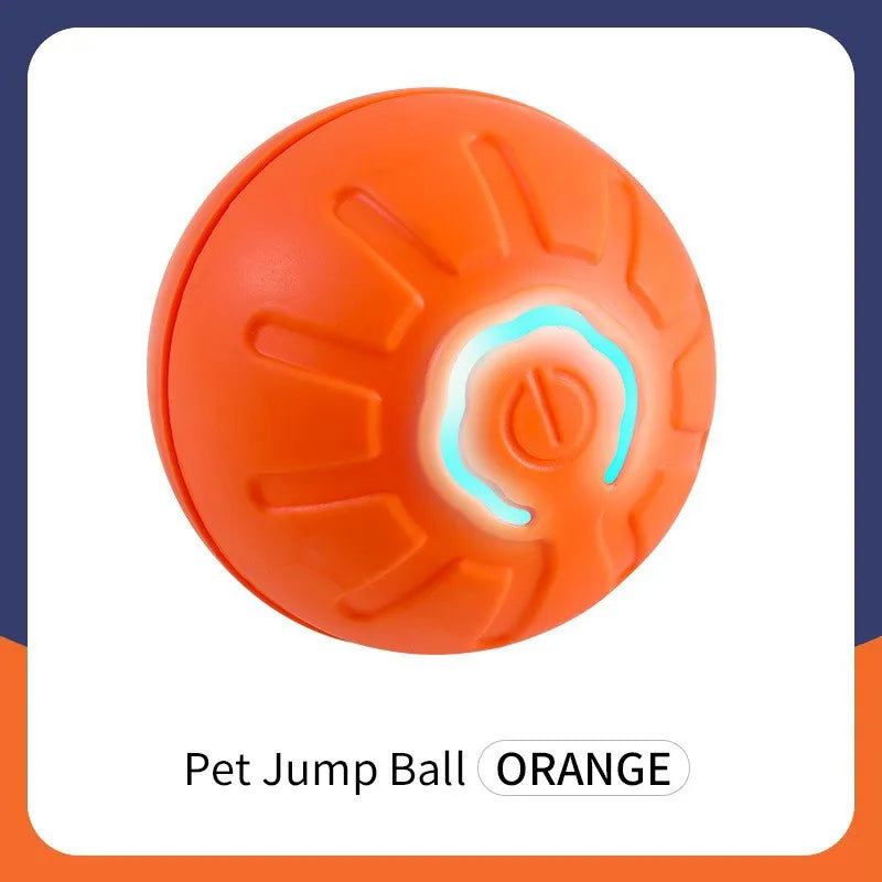 Gioco elettronico interattivo per animali domestici