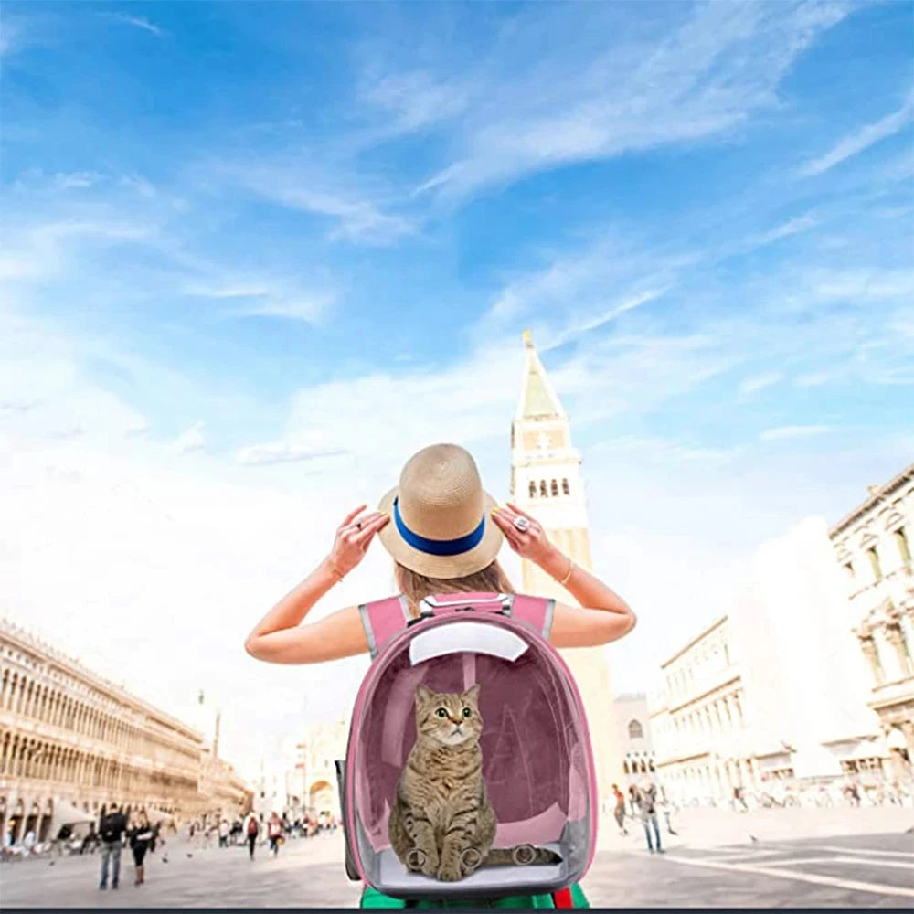 Zaino per il trasporto di animali domestici a forma di capsula trasparente