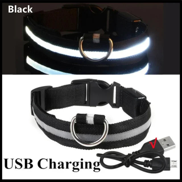 Collare regolabile a LED