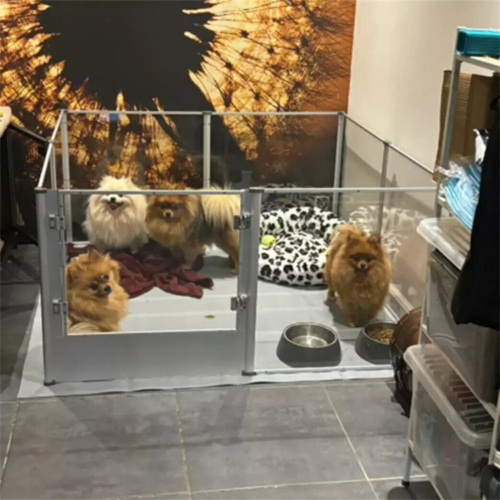 Recinto trasparente per animali domestici con tappetino impermeabile