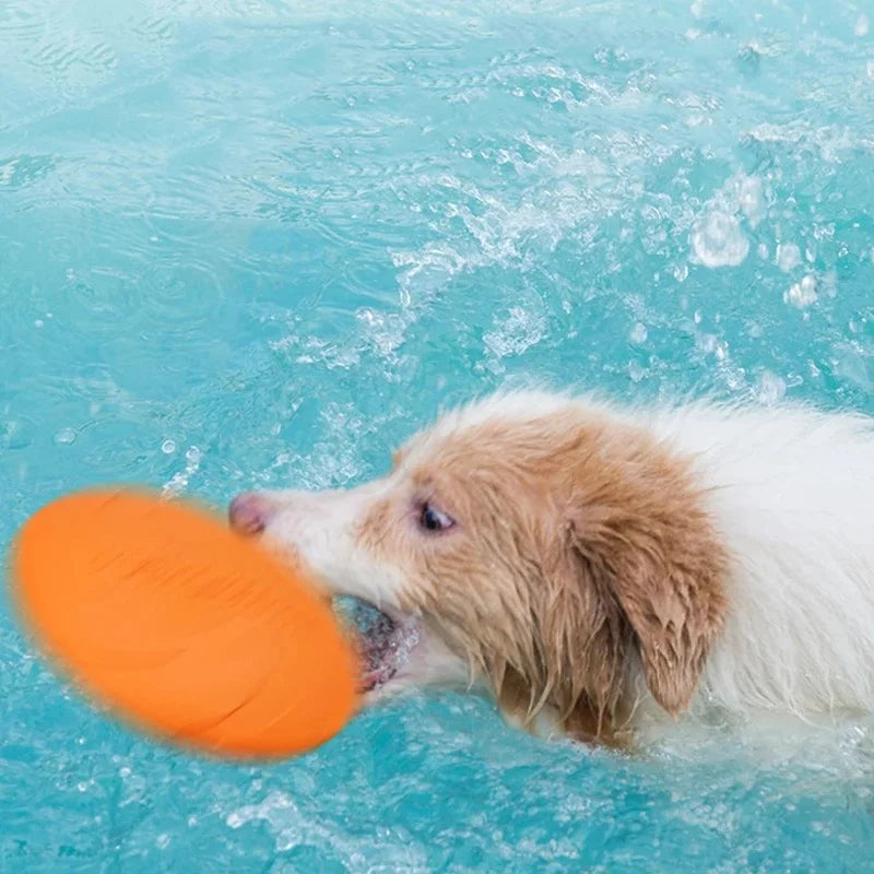 Giocattolo a disco volante per cani non masticabile