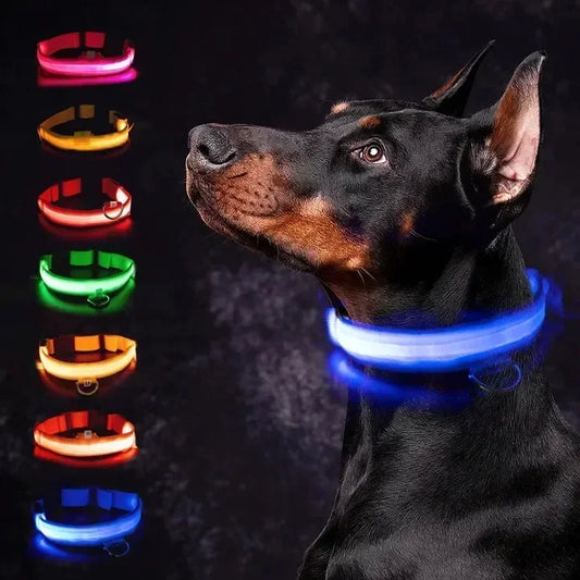 Collare regolabile a LED
