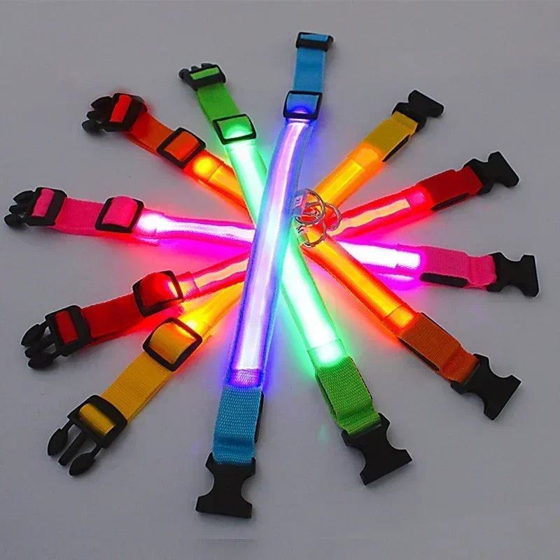 Collare regolabile a LED