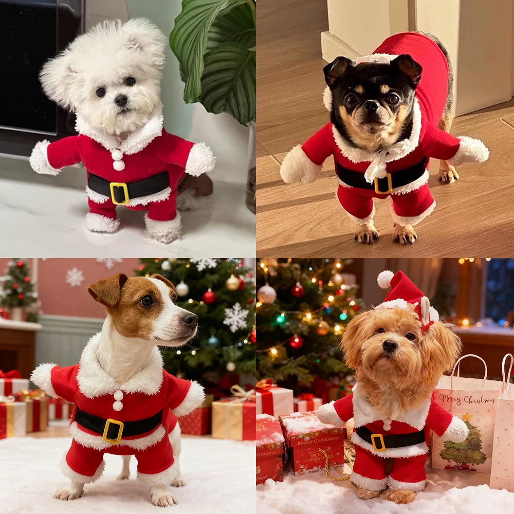 Costume Babbo Natale per animali domestici