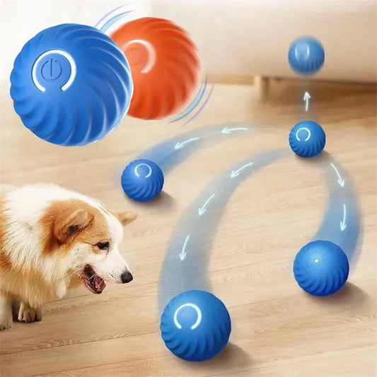 Gioco elettronico interattivo per animali domestici
