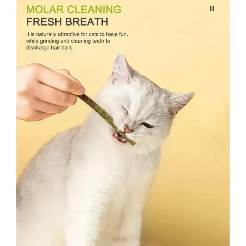 6pz bastoncini naturali matatabi alla menta per gatti