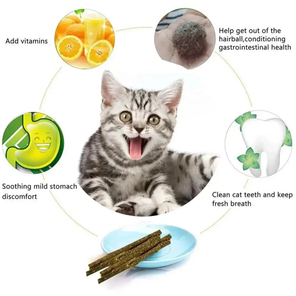 6pz bastoncini naturali matatabi alla menta per gatti