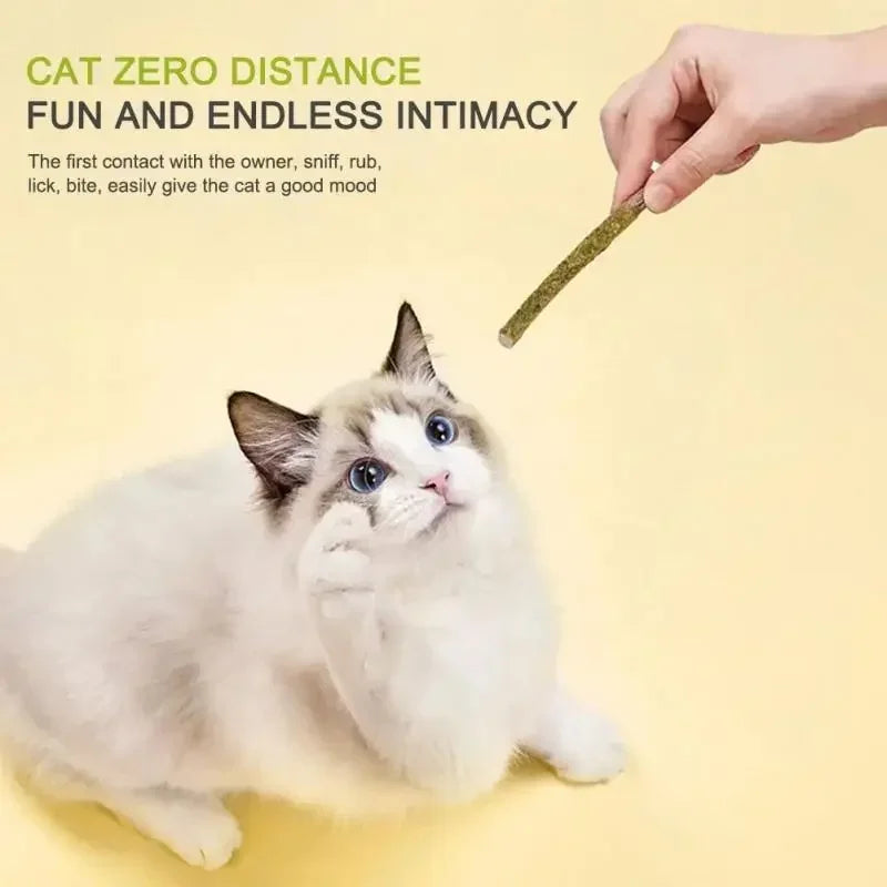 6pz bastoncini naturali matatabi alla menta per gatti