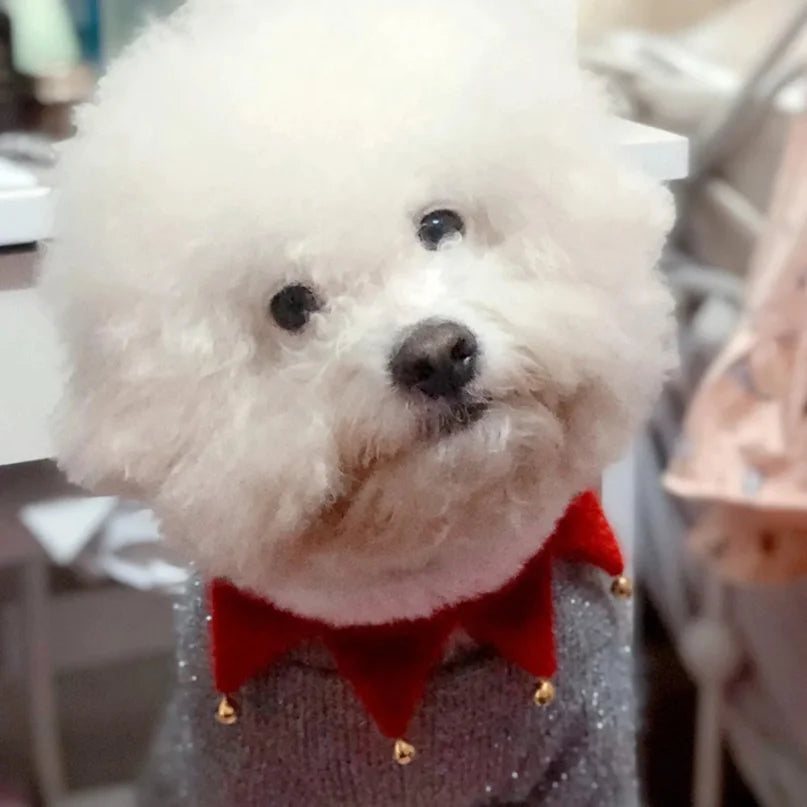 Collare natalizio regolabile