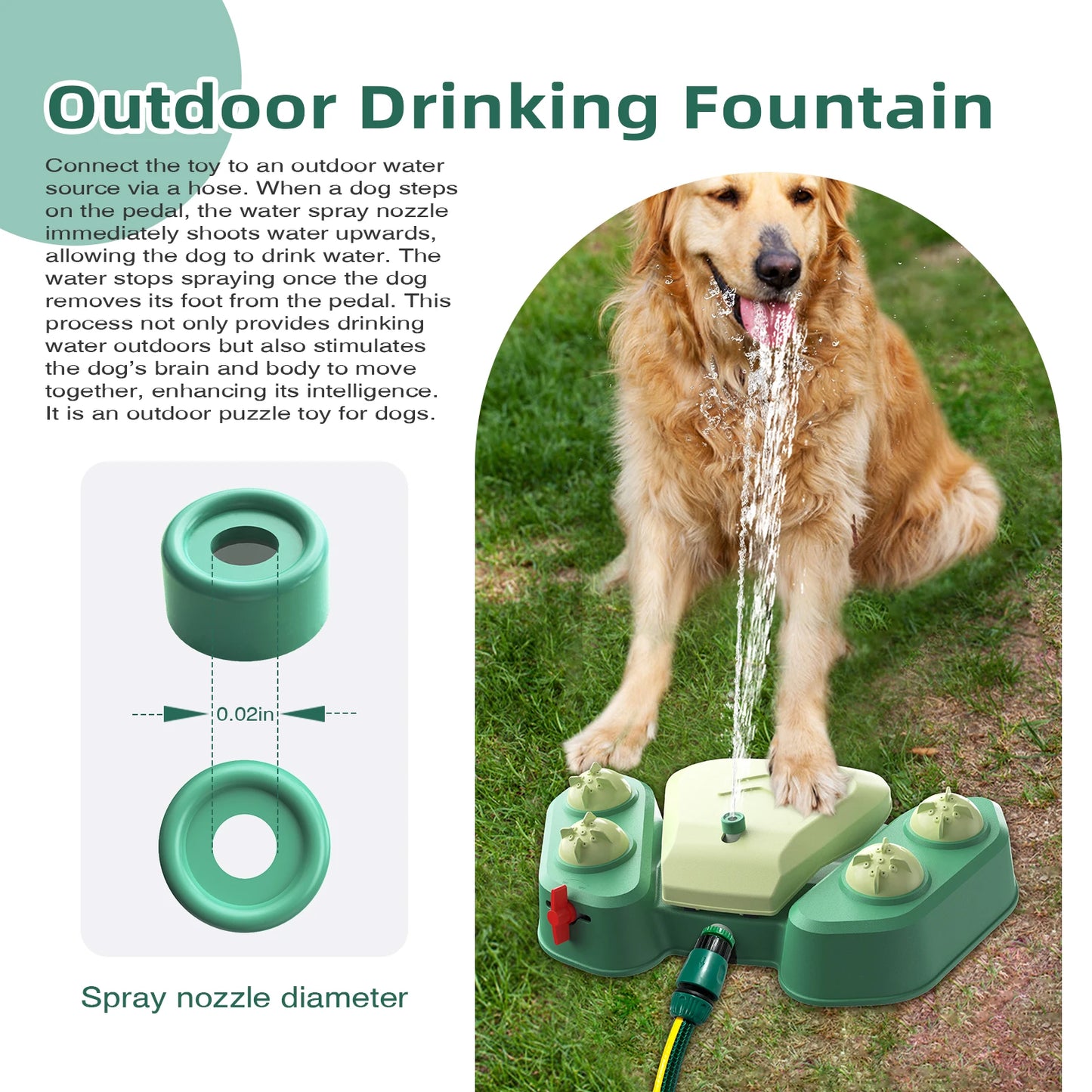 Irrigatore d'acqua per cani