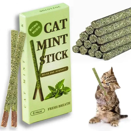 6pz bastoncini naturali matatabi alla menta per gatti