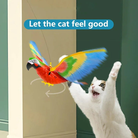 Uccelli a batterie per gatti