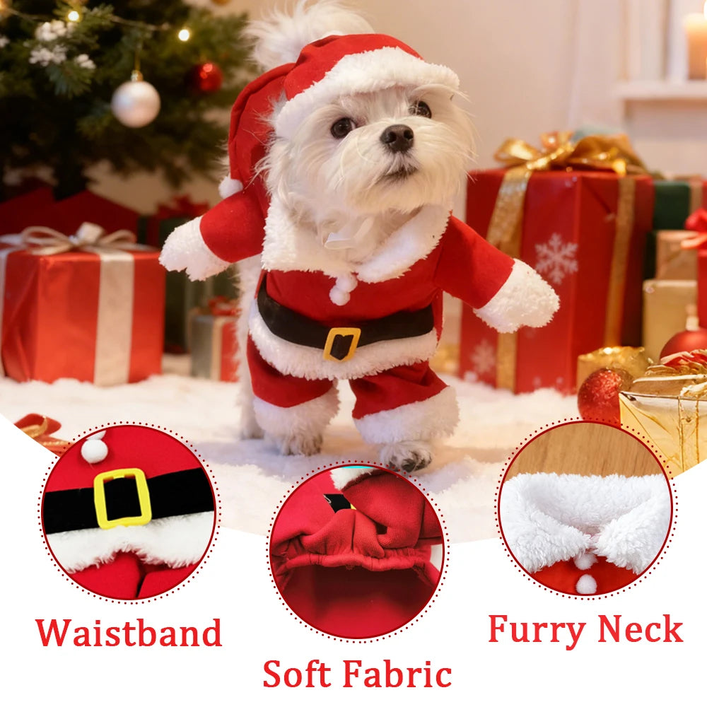 Costume Babbo Natale per animali domestici